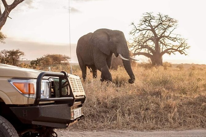 2-Days Private Midrange Safari From and to Zanzibar - Meeting and Pickup Details