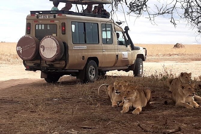 2 Days Tarangire & Ngorongoro Budget Safari Tour Tanzania - Transportation and Accommodations