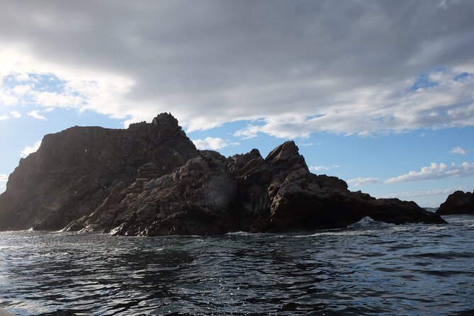 2 Hour Boat Tour in Twillingate - Wildlife Sightings Expectations