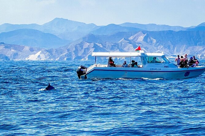 2 Hour Dolphin Watching Experience in Muscat - Customer Reviews