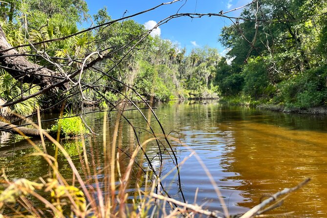 2 Hour Guided Stand up Paddle Board Tour Along Upper Manatee River - Accessibility and Suitability