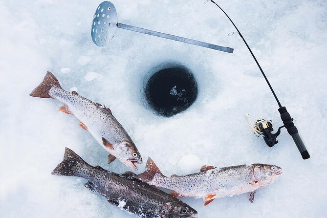 2-Hour Ice Fishing Experience in Rovaniemi, Finland - Local Wildlife
