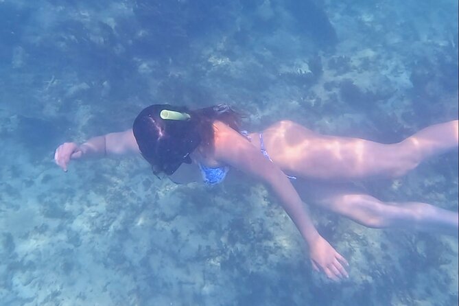 2-Hour Snorkeling in Two Spots of Tulums Reef - Recommendations and Tips