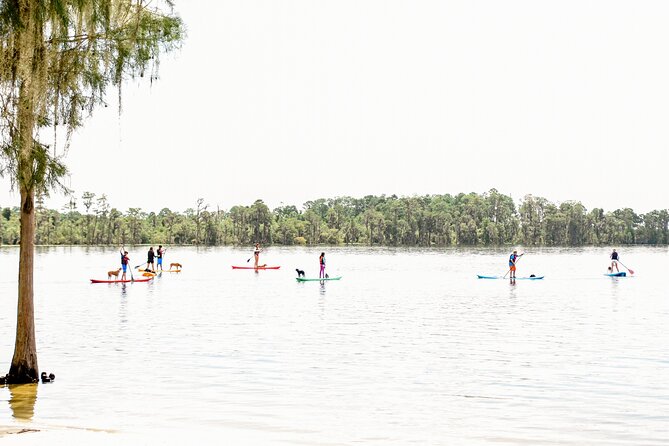 2-Hour Stand up Paddleboard Rental From Lake Buena Vista Area - Accessibility Features