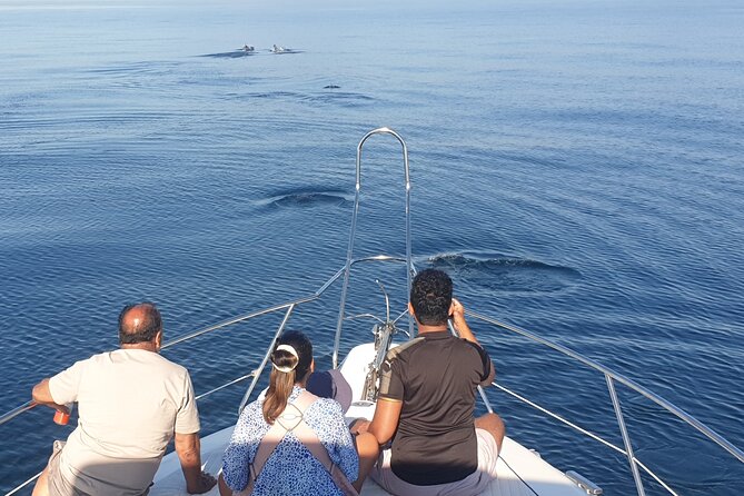 2 Hours Dolphin Watching in Marbella - Cancellation Policy and Traveler Reviews