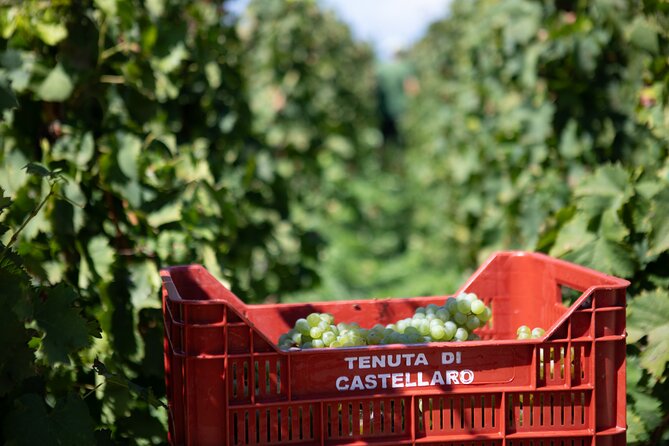 2 Hours of Classic Tasting in Sicily - Booking Information