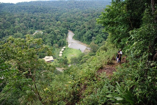 2-Night Danum Valley Borneo Rainforest Lodge Hiking and Wildlife Adventure - Guest Experiences