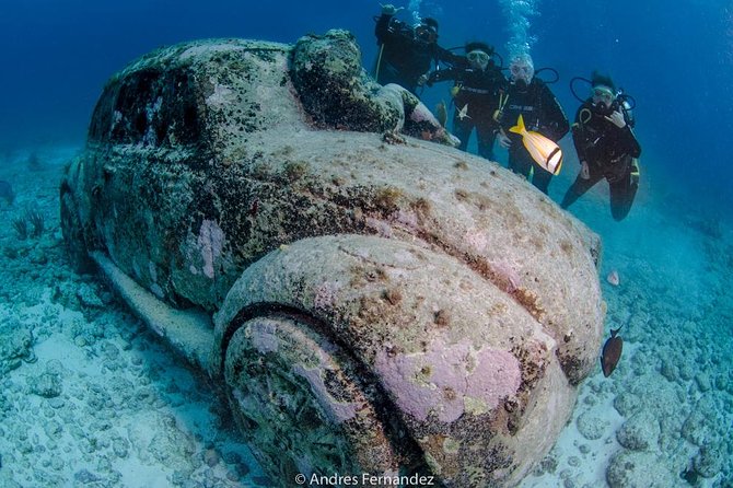 2 Tank Dives MUSA and Manchones Reef (Certified Divers) - Health and Safety Guidelines