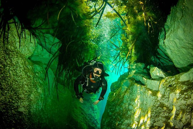 2 Tanks Cenote Diving Adventure in Tulum for Certified Divers - Health and Safety Requirements