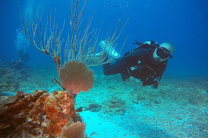 2 Tanks Scuba Diving Wreck and Reef in Cancun for Certified Divers - Shipwreck Dive Sites