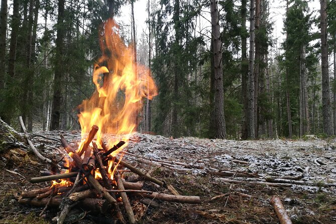 2-Weeks Cast-Away Survival Course in Södermanland - Foraging and Sustenance