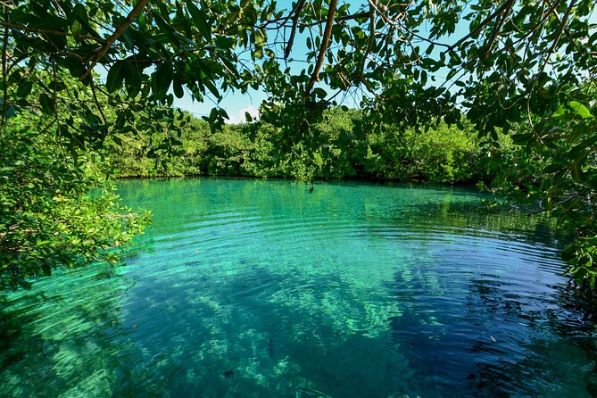 3 Cenote Dives - Casa & Dos Ojos - Accessibility and Recommendations