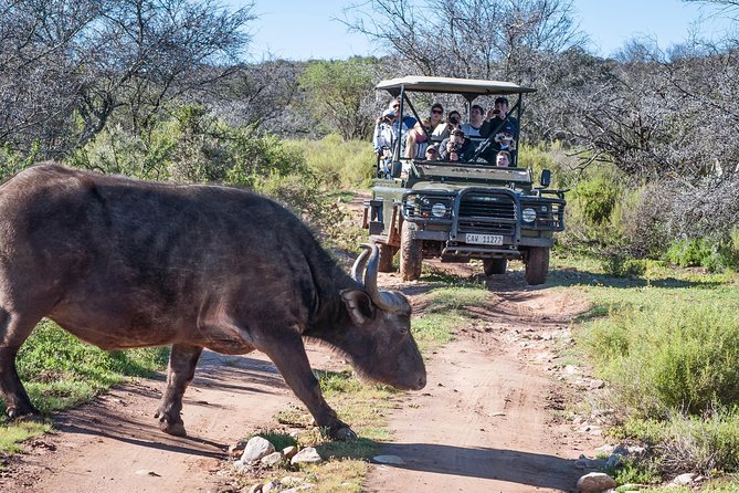 3 Day Garden Route Highlights and Safari With Private Transfers - Pricing and Booking Details