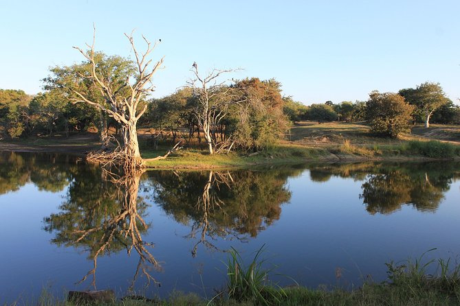 3 Day Kruger National Park Tour - Guest Experiences