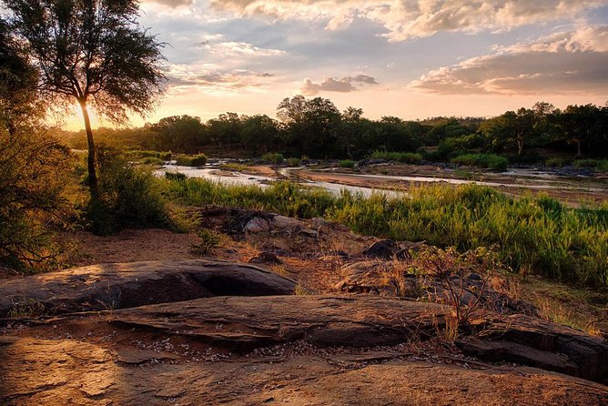 3 Day Lodge/Treehouse Kruger National Park Safari - Pricing and Booking