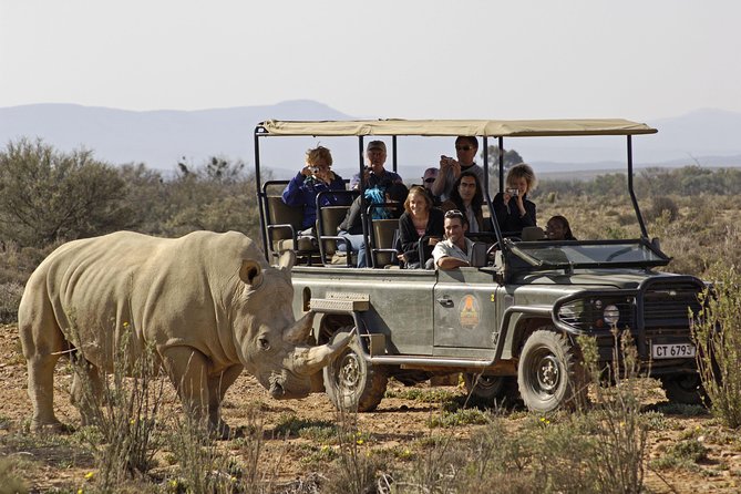 3 Day Luxury Aquila Private Game Reserve - Spa and Optional Experiences