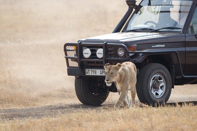 3 Day Private Serengeti Safari Tour With One Way Flight - Dietary Preferences