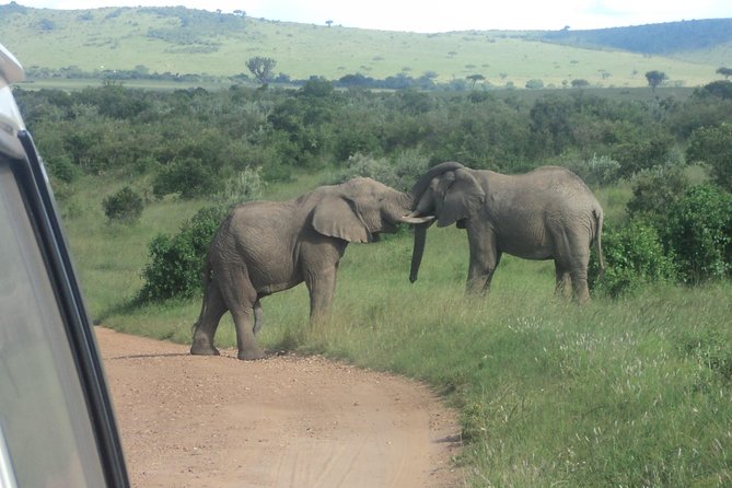 3-Day Safari Trip to Masai Mara National Reserve From Nairobi - Additional Details