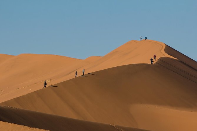 3-Day Sossusvlei Express Accommodated Safari From Swakopmund - Cheetah Tracking With Biologist