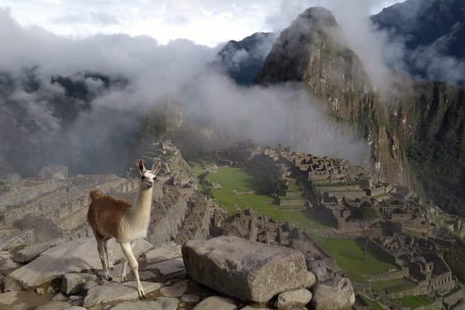 3 Day Special View - Cusco and Machu Picchu - - Traveler Considerations