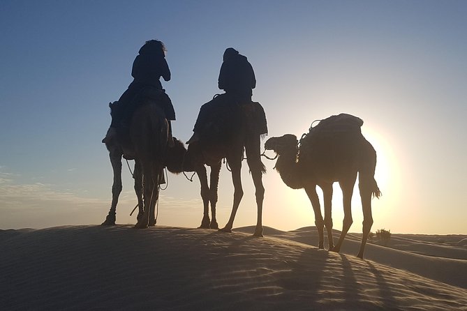 3-Day Tunisia Sahara Desert Camel Trek From Douz - Accessibility and Participation