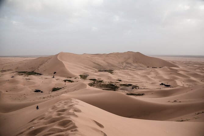 3 Days 2 Nights Desert Tour From Fes to Marrakech via Erg Chebbi - Group Size and Pricing Details