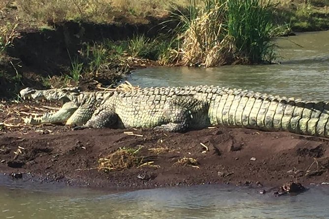 3 Days, Arba Minch and Dorze - Lake Chamo Boat Trip