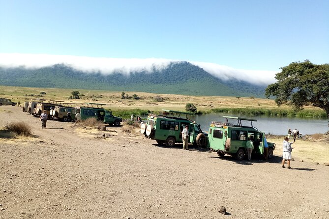 3 Days Exploring Serengeti & Ngorongoro Crater From Arusha - Reviews and Ratings