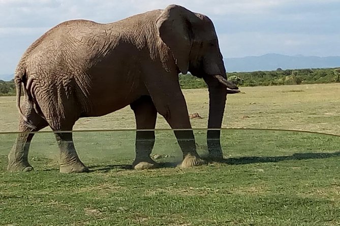 3 Days Maasai Mara Budget Group Safari - Inclusions and Exclusions