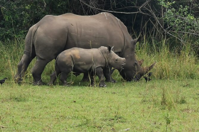 3 Days Murchison Falls Park Uganda - Murchison Falls Hike