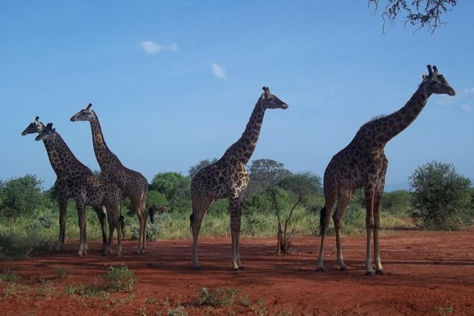 3 Days Red Elephant Safari - Pickup and Meeting Locations