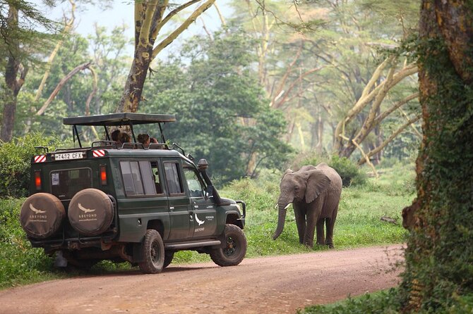 3 Days Safari Adventure to Serengeti and Ngorongoro in Tanzania, Africa - Meeting and Pickup