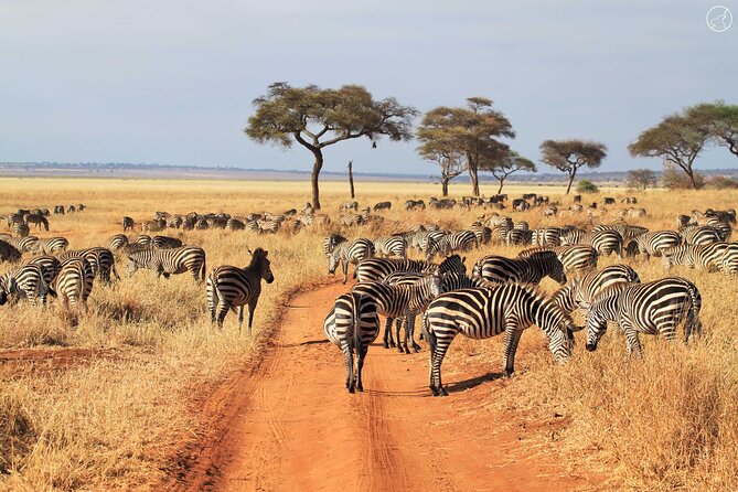 3 Days Serengeti and Ngorongoro Crater Safari From Mwanza to Arusha - Inclusions and Exclusions