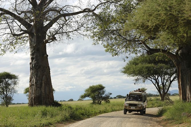 3-Days Tanzania Safari Tours - Customer Feedback