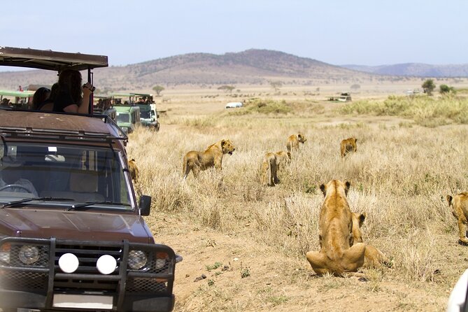 3 Days Tarangire, Manyara & Ngorongoro Budget Lodge Safari Tour Tanzania - Excluded Services