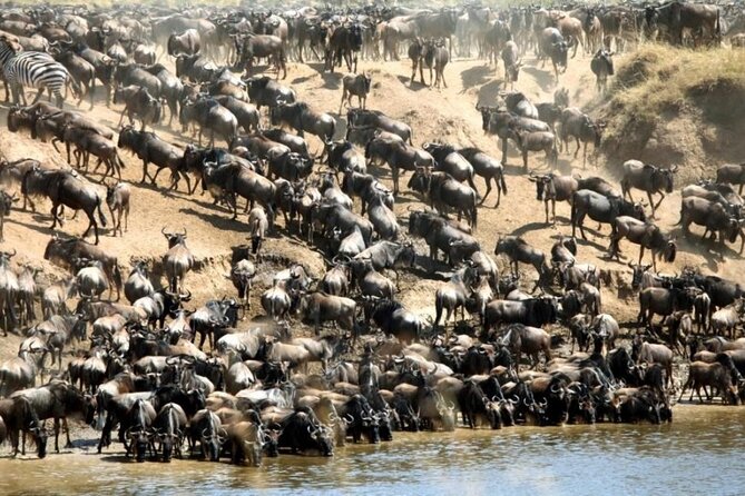 3 Days Tour Masai Mara Safari From Nairobi - Inclusions and Exclusions