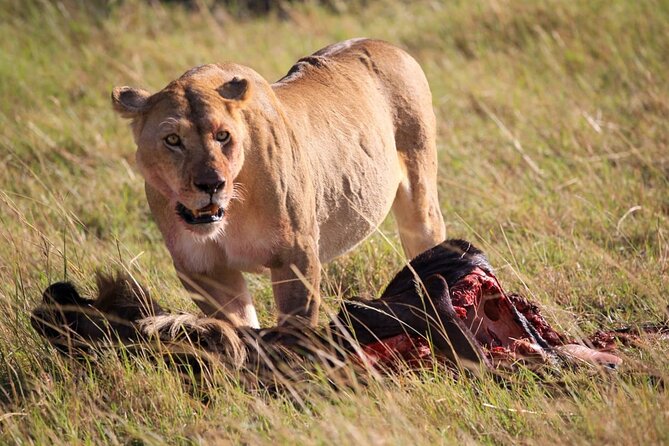 3 Days Tsavo East & Amboseli (2 Nights) - Booking Information