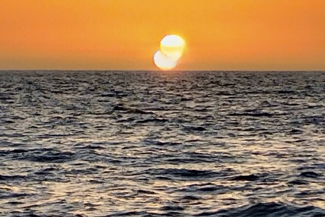 3-Hour Excursion to Puerto Colón Adeje to See Whales - Cancellation Policy
