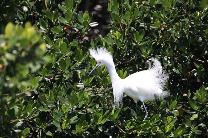 3-Hour St Pete Private Water Adventure Tour for 6 Guests - Customer Reviews