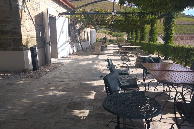 3-Hour Tour to Discover Pinhão - Moment of Discovery - Positive Reviews