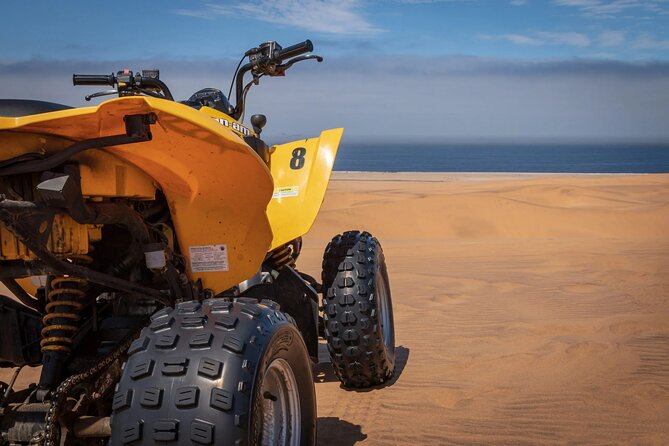 3 Hours Hurghada Desert Safari on Quad Bikes With Camel Ride - What to Expect