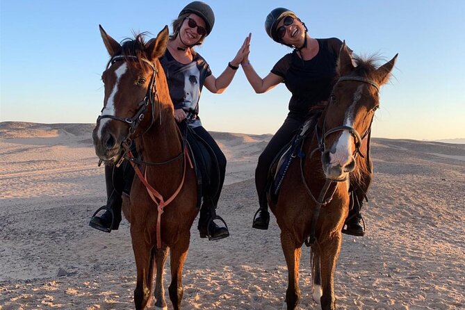 3 Hours Swimming By Horse in Red Sea Riding on the Beach and Dessert - Hurghada - Maximum Group Size