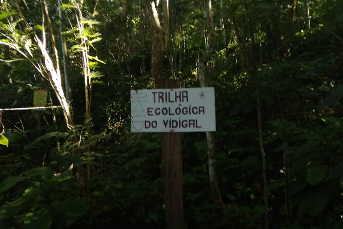 3H Private Trekking in Dois Irmãos Overlooking Rio De Janeiro - Health and Accessibility