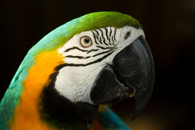 4-Day Amazon Eco-Lodge Tour From Puerto Maldonado - Cancellation Policy