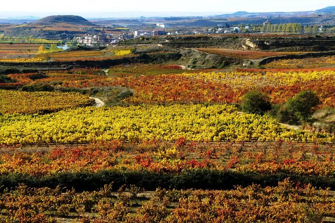 4 Day Basque Country Tour: San Sebastian, Biarritz, Bilbao and Rioja - Cultural Immersion