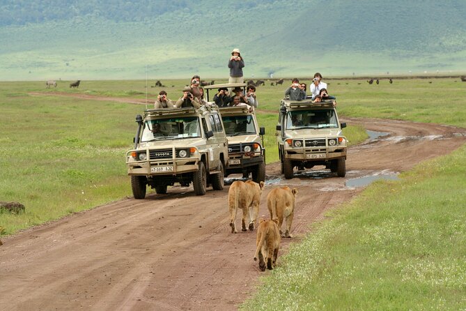 4-Day Camping on the Big Five Private Safari - Participation Requirements