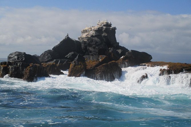 4-Day Galapagos Island Hopping Tour in Santa Cruz - Pricing and Cancellation