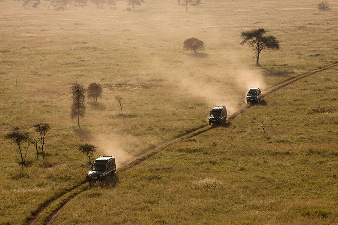 4 Day Great Migration Safari Serengeti & Ngorongoro Crater - Safari Itinerary and Inclusions