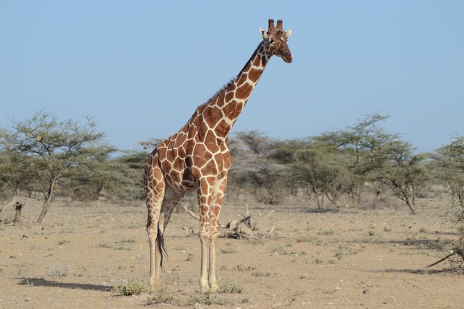 4 Day Private Masai Mara Flight Safari Tour From Nairobi - Pickup and Start Details