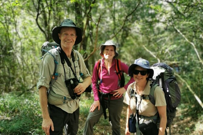 4-Day Private Natal Midlands Falls to Falls Tour - Availability and Booking